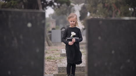 Flower,-death-or-kid-in-cemetery-for-funeral