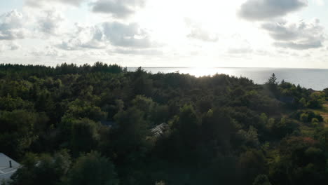 Roofs-of-buildings-visible-between-trees-in-forest.-Fly-above-coastal-landscape,-view-against-sun.-Denmark
