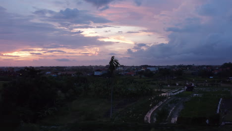 Aerial-dolly-shot-of-a-bat-flying-above-a-small-village-and-terraced-farm-plantations-in-a-tropical-climate-of-Bali-at-night