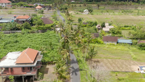 Aerial-dolly-view-of-the-traffic-on-a-winding-road-with-palm-trees-passing-traditional-houses-in-the-Bali-countryside