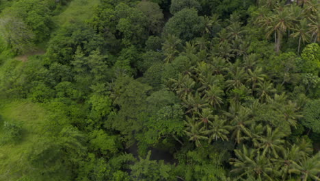 Aerial-shot-following-the-flow-of-a-jungle-river-hidden-by-a-thick-lush-vegetation-in-a-tropical-rainforest