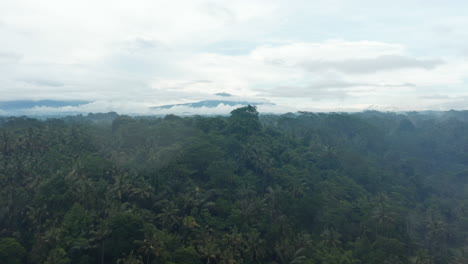 Aerial-dolly-reveal-shot-of-the-trees-in-a-large-tropical-rainforest-in-Bali-with-tall-mountain-covered-in-fog-in-the-background