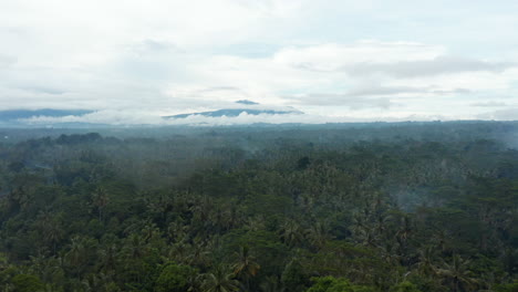 Slow-aerial-dolly-shot-over-the-canopies-of-palm-trees-in-tropical-jungle-with-large-mountain-peeking-from-the-fog-in-the-background