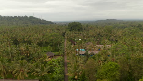 Traditional-houses-surrounded-by-palm-trees-in-Bali.-Aerial-wide-view-of-the-road-through-tropical-rainforest-with-small-rural-homes-hidden-between-the-trees