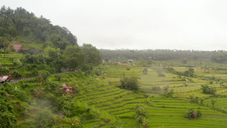 Wide-aerial-view-of-lush-green-farm-rice-plantations-in-Asia.-Trucks-driving-on-the-hill-road-past-tropical-rural-countryside-in-Bali