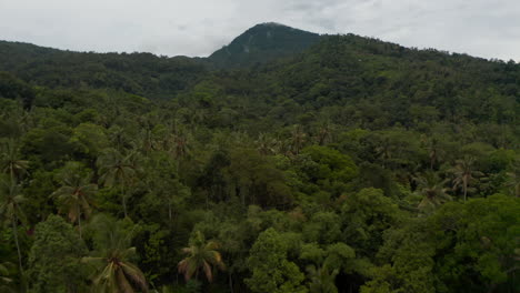 Dense-tropical-rainforest-on-the-slopes-of-a-mountain.-Aerial-dolly-view-of-palm-trees-and-lush-green-jungle-vegetation-on-the-hill