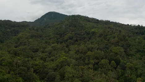 Thick-green-tropical-rainforest-on-the-side-of-a-mountain.-Aerial-dolly-view-of-dark-green-jungle-forest-in-front-of-a-mountain
