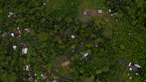 Small-tropical-houses-hidden-in-the-jungle.-Top-down-overhead-aerial-view-of-rural-homes-surrounded-by-wild-rainforest-and-palm-trees