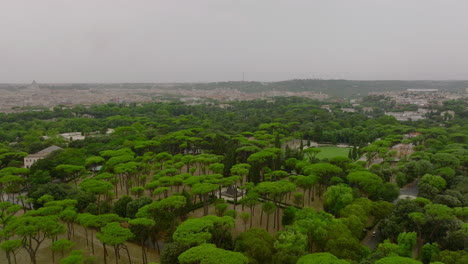Public-park-with-grown-green-trees.-Aerial-ascending-footage-of-greenery-in-city,-revealing-panoramic-view-of-metropolis.-Rome,-Italy