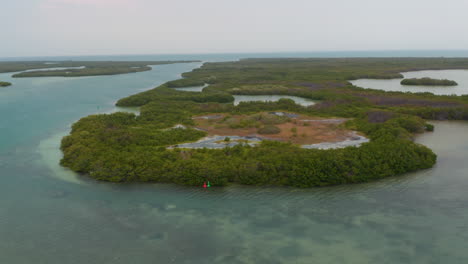 Forwards-reveal-of-mangroves-separating-lagoon-and-ocean.-Large-area-of-trees-and-shrubs-on-coast.-Nature-Reserve.-Rio-Lagartos,-Mexico.