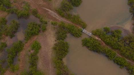Tilt-down-footage-of-wetlands.-Aerial-view-of-trail-with-plank-bridge-leading-through-waterlogged-soil.-Nature-reserve.-Rio-Lagartos,-Mexico.