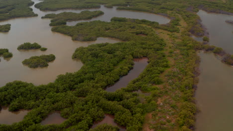 Forwards-revealing-footage-of-tropical-coastal-landscape.-Aerial-view-of-lakes-and-swamps-in-rain-forest.-Nature-reserve.-Rio-Lagartos,-Mexico.