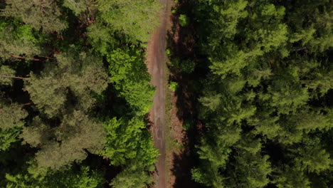 AERIAL:-Slow-Overhead-Top-Down-Drone-Shot-of-Dirt-Path-Way-in-Rich-Green-Forest-in-Germany-European-Woods-in-Beautiful-Green-Color-Tones