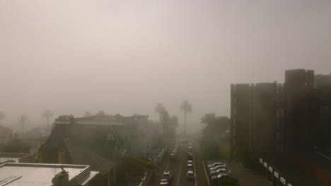 Forwards-fly-above-street-in-city-in-misty-weather.-Tropical-palm-trees-and-residential-building-around.-Cape-Town,-South-Africa