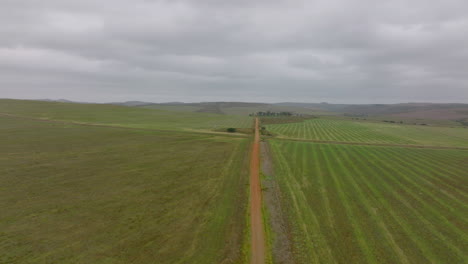 Forwards-fly-above-flat-landscape-on-cloudy-day.-Dirt-road-leading-between-green-agricultural-fields.-South-Africa