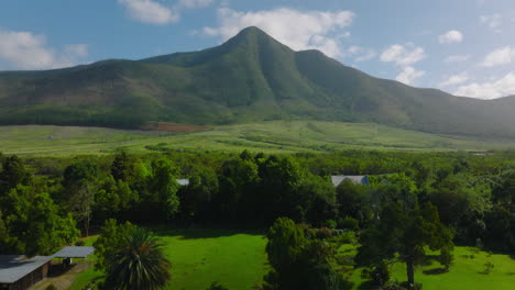 Tiro-Ascendente-De-Edificios-En-Una-Exuberante-Vegetación-Tropical-Verde-En-El-Campo-Africano.-Pico-De-La-Montaña-En-El-Fondo.-Sudáfrica