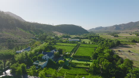 Luftbild-Auf-Die-Von-Morgensonne-Beleuchtete-Landschaft.-Rückseite-Des-Luxuriösen-Wohnsitzes-Des-Bauernhofs-Mit-Großen-Gärten.-Südafrika